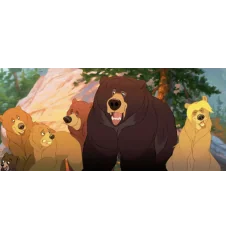 DVD frère des ours