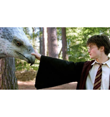 DVD Harry Potter Et Le Prisonnier D'azkaban