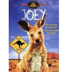 DVD Joey