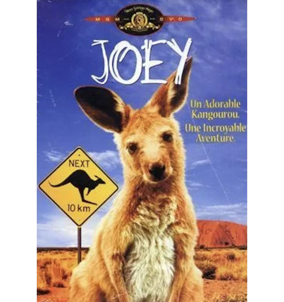 DVD Joey