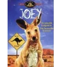 DVD Joey