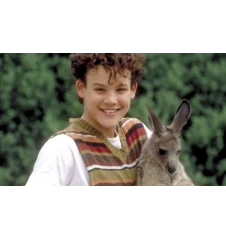 DVD Joey