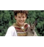 DVD Joey