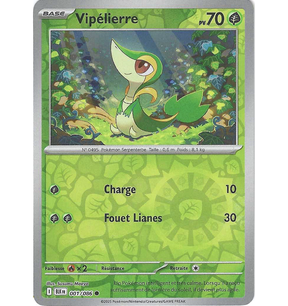 Vipélierre 001/086 Reverse