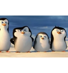 DVD Les Pingouins de Madagascar