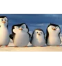 DVD Les Pingouins de Madagascar