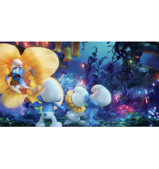 DVD les schtroumpfs et le village perdu