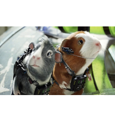 DVD Mission G Disney