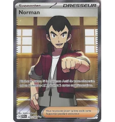 Dresseur Norman 237/182 PAR Faille Paradoxe
