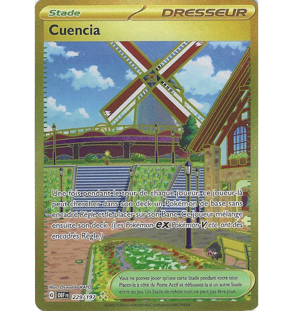 Dresseur Cuencia 229/197