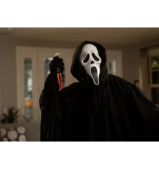 DVD Scream
