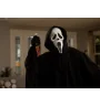 DVD Scream