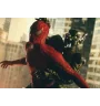 DVD Spider-Man