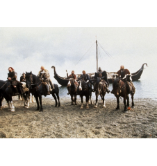 DVD The 13th Warrior