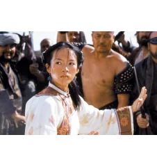 DVD Tigre et Dragon