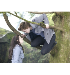 Coffret DVD Twilight Chapitre 1 Fascination