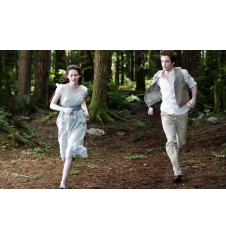 DVD Twilight Chapitre 2 Tentation