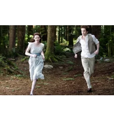DVD Twilight Chapitre 2 Tentation