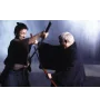 DVD Zatoichi