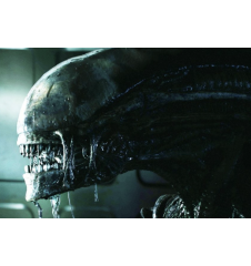 DVD Aliens Version Longue