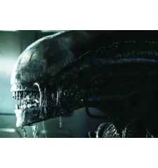 DVD Aliens Version Longue