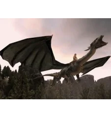 DS Eragon Cib