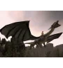 DS Eragon Cib