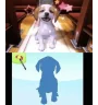 3DS Petz a La Campagne