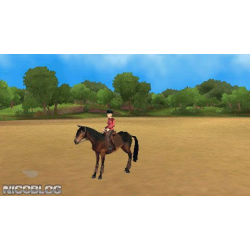 PSP imagine champion rider loose
