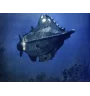 Laserdisc cdv 20000 Lieues Sous Les Mers Vf Neuf