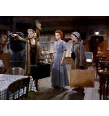 Laserdisc cdv Arret D'autobus Vf