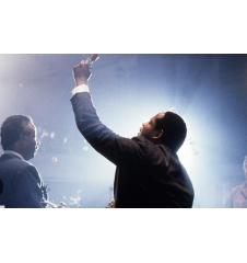 Laserdisc cdv Bird Vf