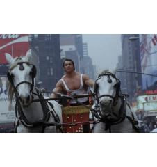 Laserdisc cdv Hercule à New York vf