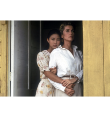 Laserdisc cdv Indochine vf