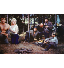 Laserdisc cdv La rivière sans retour vf