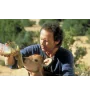 Laserdisc cdv La vie l'amour les vaches