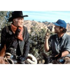 Laserdisc cdv La vie l'amour les vaches