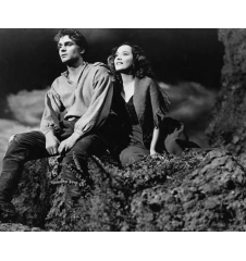 Laserdisc cdv les hauts de hurlevent vf