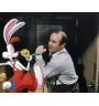 Laserdisc cdv Qui Veut La Peau De Roger Rabbit Vf