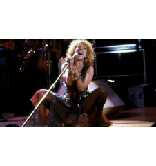 Laserdisc cdv The Rose Vf