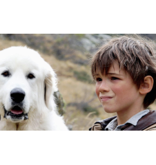 Bluray Belle Et Sebastien