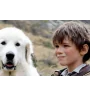 Bluray Belle Et Sebastien