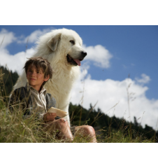 Bluray Belle Et Sebastien