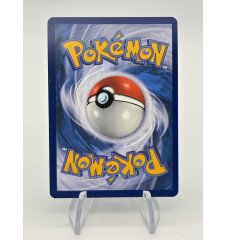 Dresseur PP Plus De N 262/217