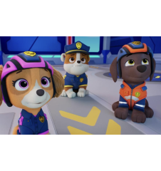 DVD Pat Patrouille Une Nouvelle Amie