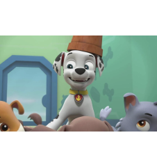 DVD Pat Patrouille Une Nouvelle Amie