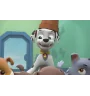 DVD Pat Patrouille Une Nouvelle Amie