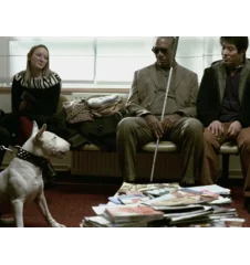 DVD Danny The Dog