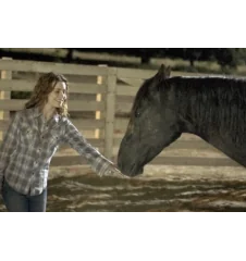 DVD Flicka