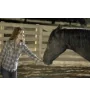 DVD Flicka